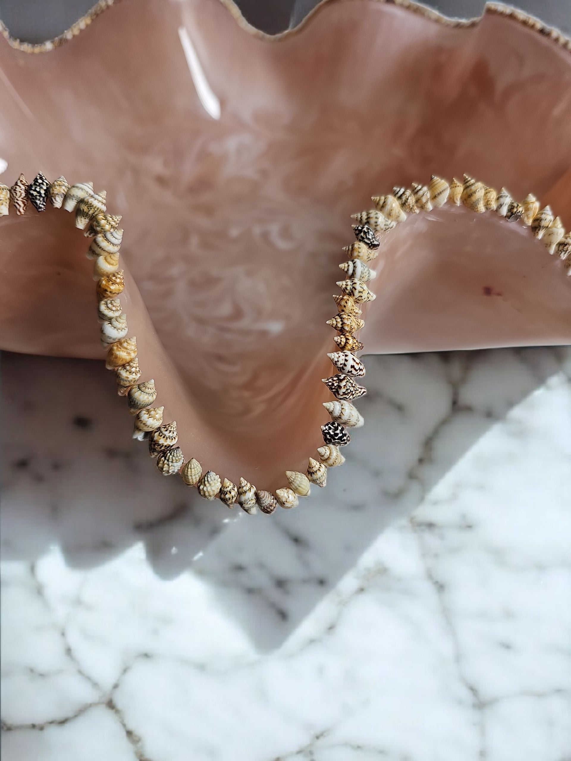 Fluted edge with seashells Decorative Bowl